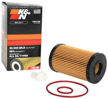 Load image into Gallery viewer, K&amp;N 22-24 Lexus IS/LC500 / 07-21 Toyota Tundra Oil Filter