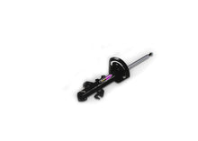 Load image into Gallery viewer, DOBINSONS GAS STRUT RH (BLACK) - GS29-430B RHB