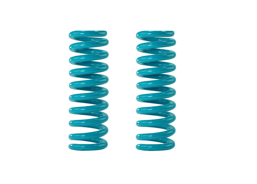 DOBINSONS COIL SPRING PAIR (C92-3012300)