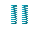 DOBINSONS COIL SPRING PAIR (C92-3016450) - Teal