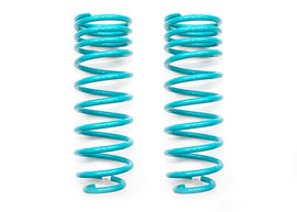DOBINSONS COIL SPRING PAIR (C21-419V)