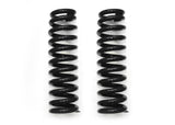 DOBINSONS COIL SPRING PAIR (BLACK) (C29-250B)