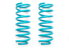Load image into Gallery viewer, DOBINSONS COIL SPRING PAIR (C53-003)