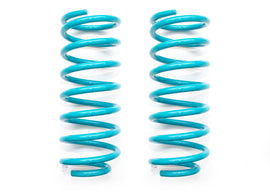 DOBINSONS COIL SPRING PAIR (C31-075)