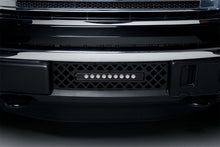 Load image into Gallery viewer, Putco 11-14 Ford F-150 - EcoBoost Bumper Grille Insert - Black SS Diamond w/ 10in Luminix Light Bar