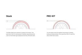 Eibach Pro-Kit EV for 24-25 Tesla Model Y RWD