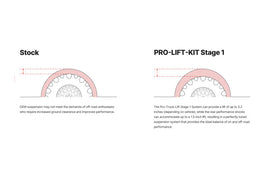 Eibach Pro-Truck Lift Kit (Stage 1) for 18-24 Ford Expedition 2WD/4WD