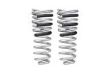 Eibach 4th Gen RAM 2500 Pro Lift Kit HD Rear Springs