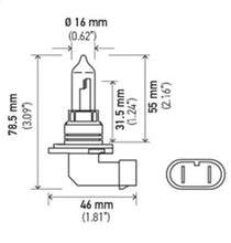 Load image into Gallery viewer, Hella Bulb 9005 12V 65W P20D T4 +50 (2)