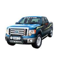 Load image into Gallery viewer, Westin 2009-2014 Ford/Lincoln F-150 Ultimate Bull Bar - Black