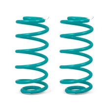 Load image into Gallery viewer, DOBINSONS COIL SPRING PAIR (C09-045)