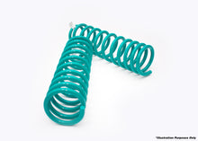 Load image into Gallery viewer, DOBINSONS COIL SPRING PAIR (C29-085)