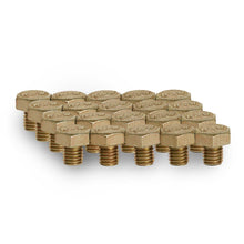 Load image into Gallery viewer, Bolt Kit - Lip Bolts