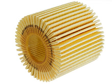 Load image into Gallery viewer, afe PROGUARD Oil Filter