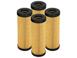 afe PROGUARD Oil Filter