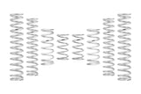 Eibach 2024+ Can-Am Maverick R X Stage 2 Pro-UTV Spring Kit