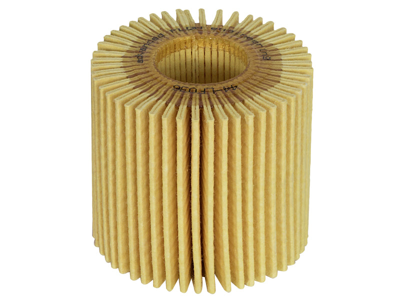 afe PROGUARD Oil Filter