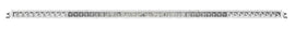Rigid Industries 50in SR-Series PRO - Spot/Flood Combo - White - Underdog Motorsports