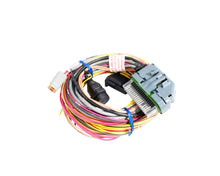Load image into Gallery viewer, AEM AQ-1 96in Flying Lead Wiring Harness