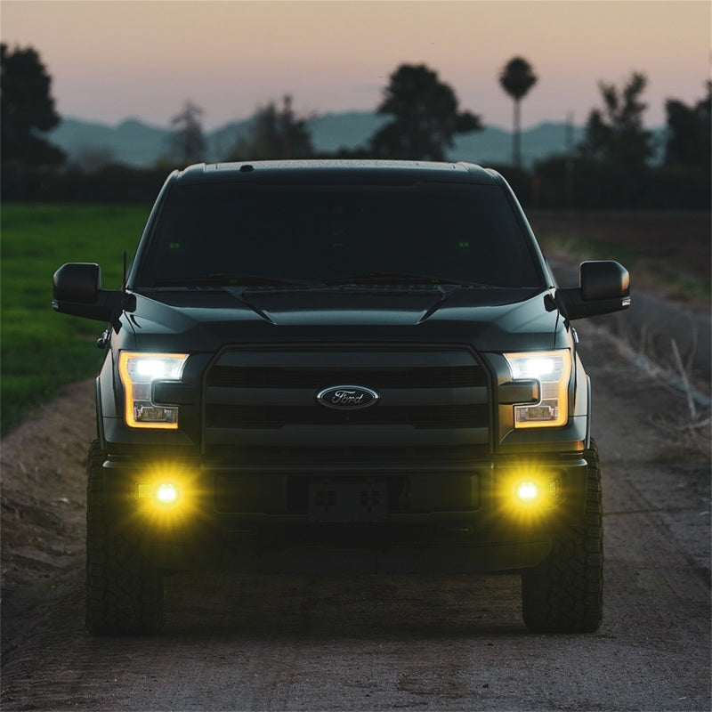 Rigid Industries D-Series SAE Fog Yellow/White Pair - Underdog Motorsports