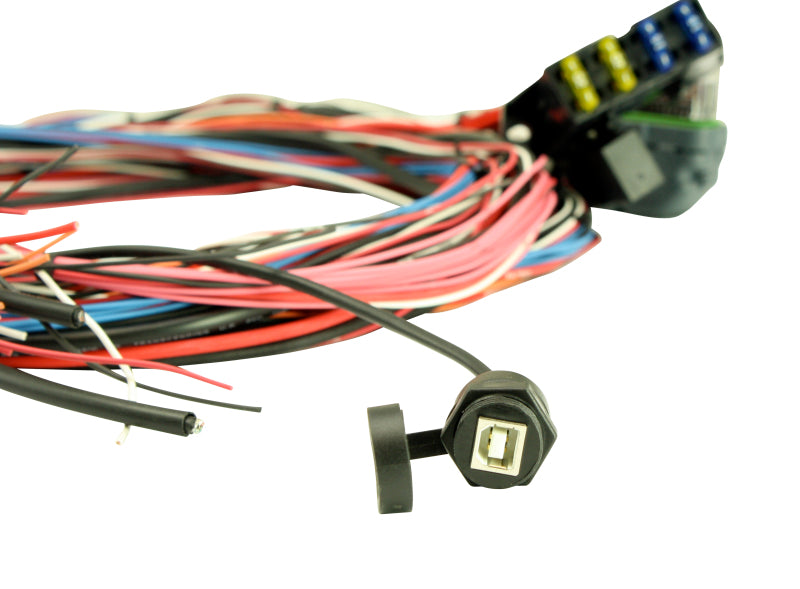 AEM EMS-4 96in Flying Lead Harness w/Fuse & Relay Panel