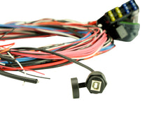 Load image into Gallery viewer, AEM EMS-4 96in Flying Lead Harness w/Fuse &amp; Relay Panel