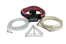Load image into Gallery viewer, AEM Series 3 Flying Lead Harness
