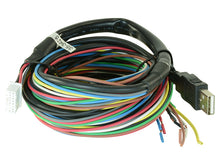 Load image into Gallery viewer, AEM Main Harness For 30-4900/30-4910/30-4911 Failsafe Gauges